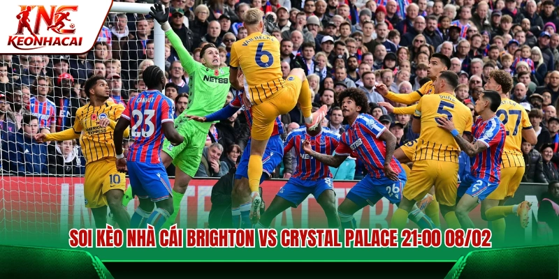 Soi kèo nhà cái trận đấu Brighton vs Crystal Palace